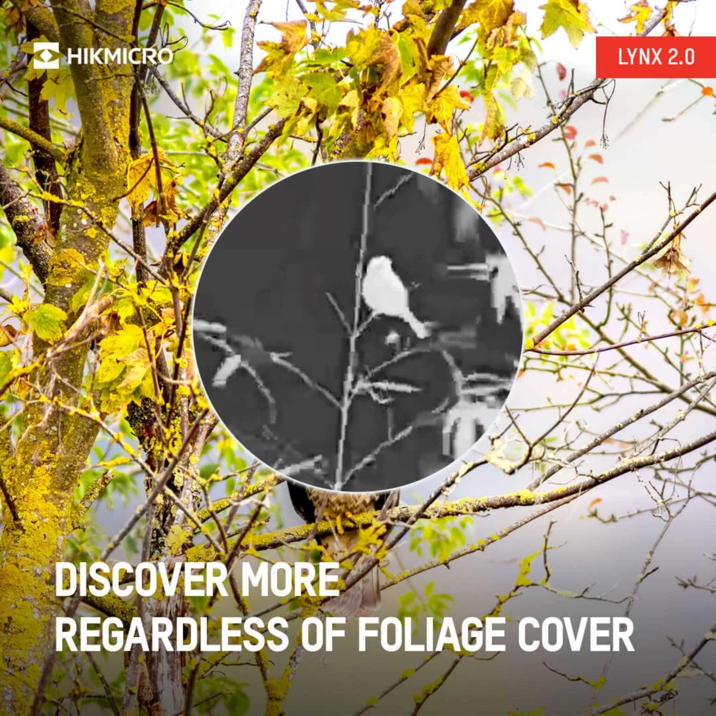 HikMicro Lynx LH15 2.0 see more regardless of foliage