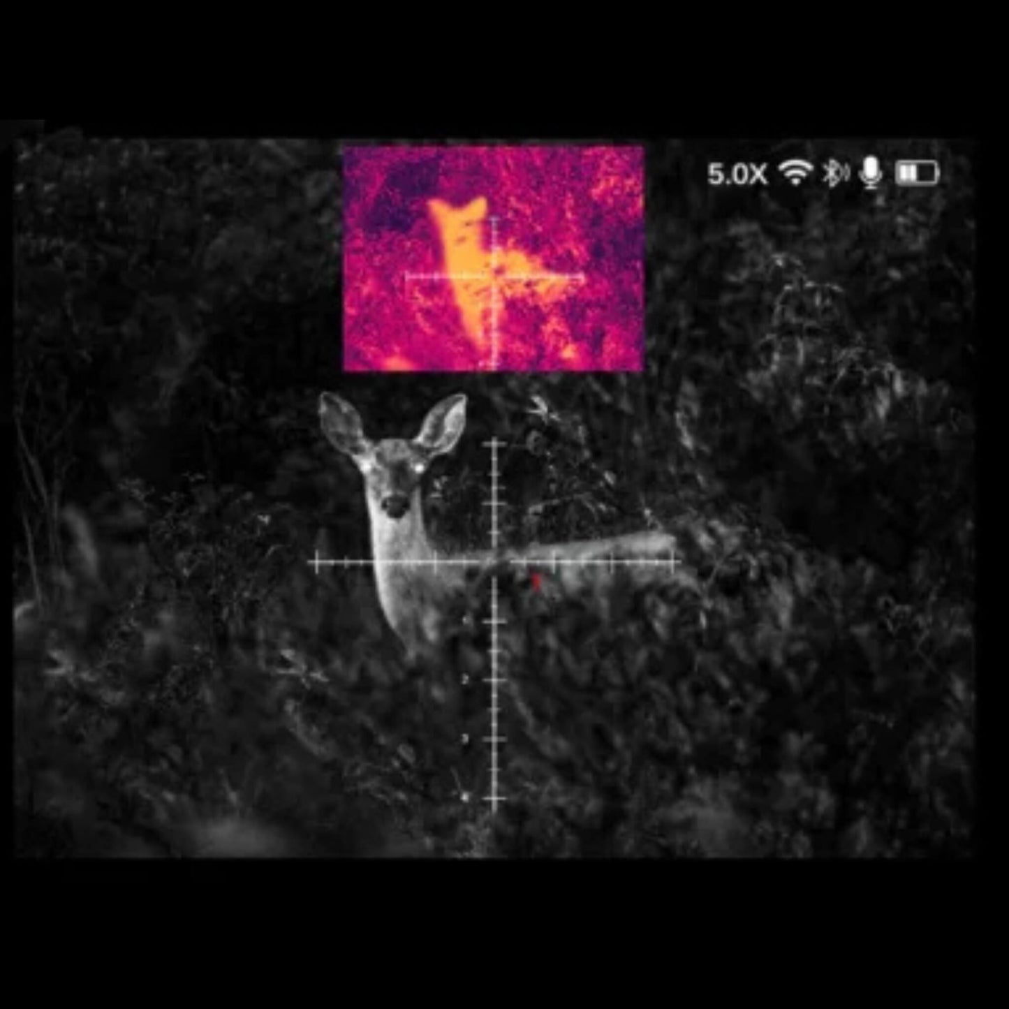 TNC335R_Thermal_Night_Vision_Thermal_Deer_Thermal and Night Visison PIP feature