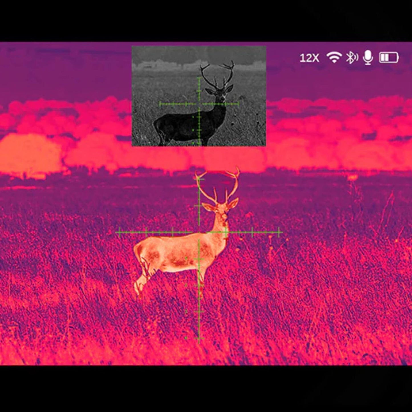 A deer is prominently displayed in a thermal imaging view, with a smaller window showing a night vision (PIP) function for identification.