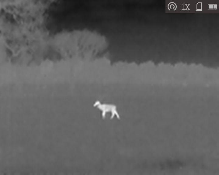 Cape Thermal - The best thermal imaging monoculars for sale - HikMicro LYNX LC06 Handheld thermal imaging monocular - White hot thermal vision monocular 3