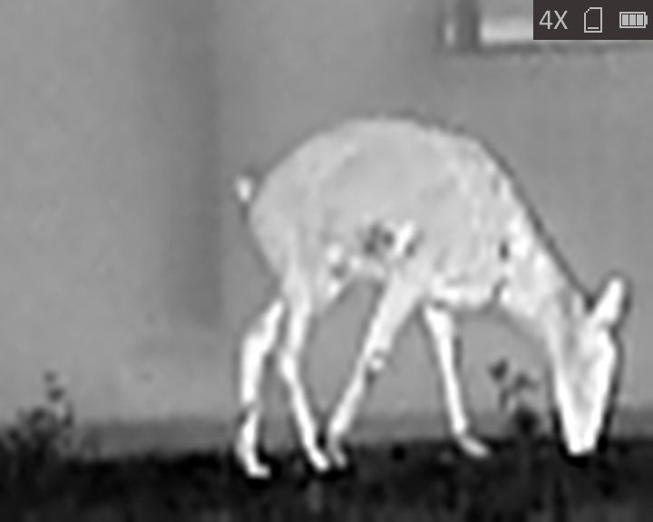 Cape Thermal - The best thermal imaging monoculars for sale - HikMicro LYNX Pro LE10 Handheld thermal imaging monocular - White Hot Thermal Image Capture 2 Zoomed 4X