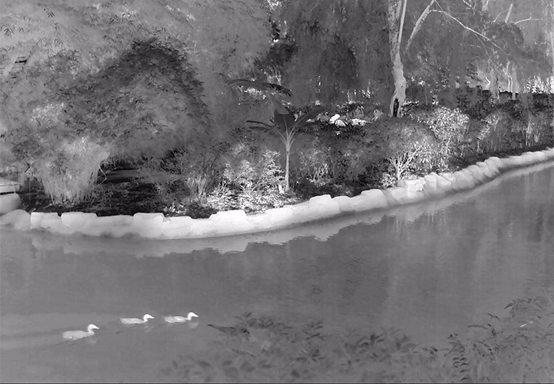 Implications for Agriculture and Food Security