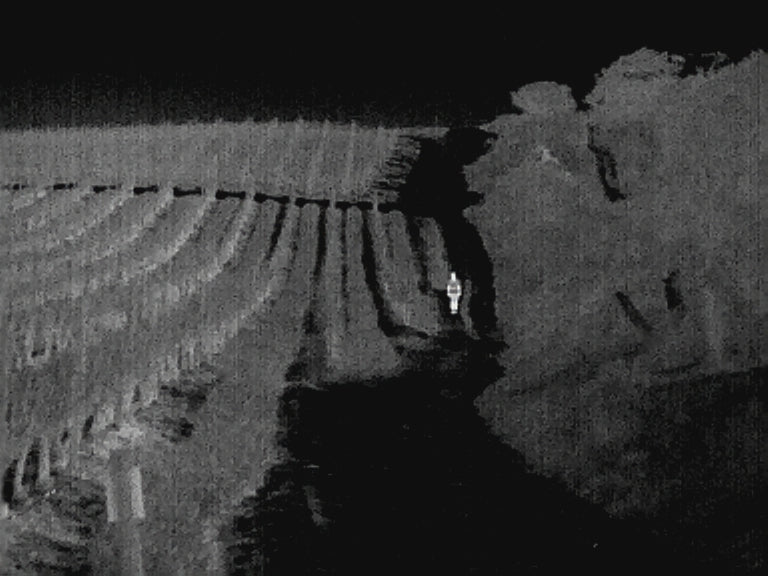 Securing Your Harvest: Why Thermal Cameras Are Essential for South African Cannabis Farms