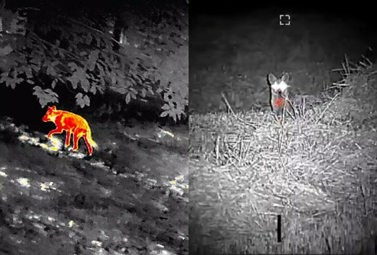 Night Vision side by side with Thermal Imaging