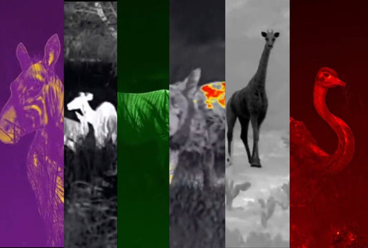 Understanding Thermal Color Palettes with Cape Thermal