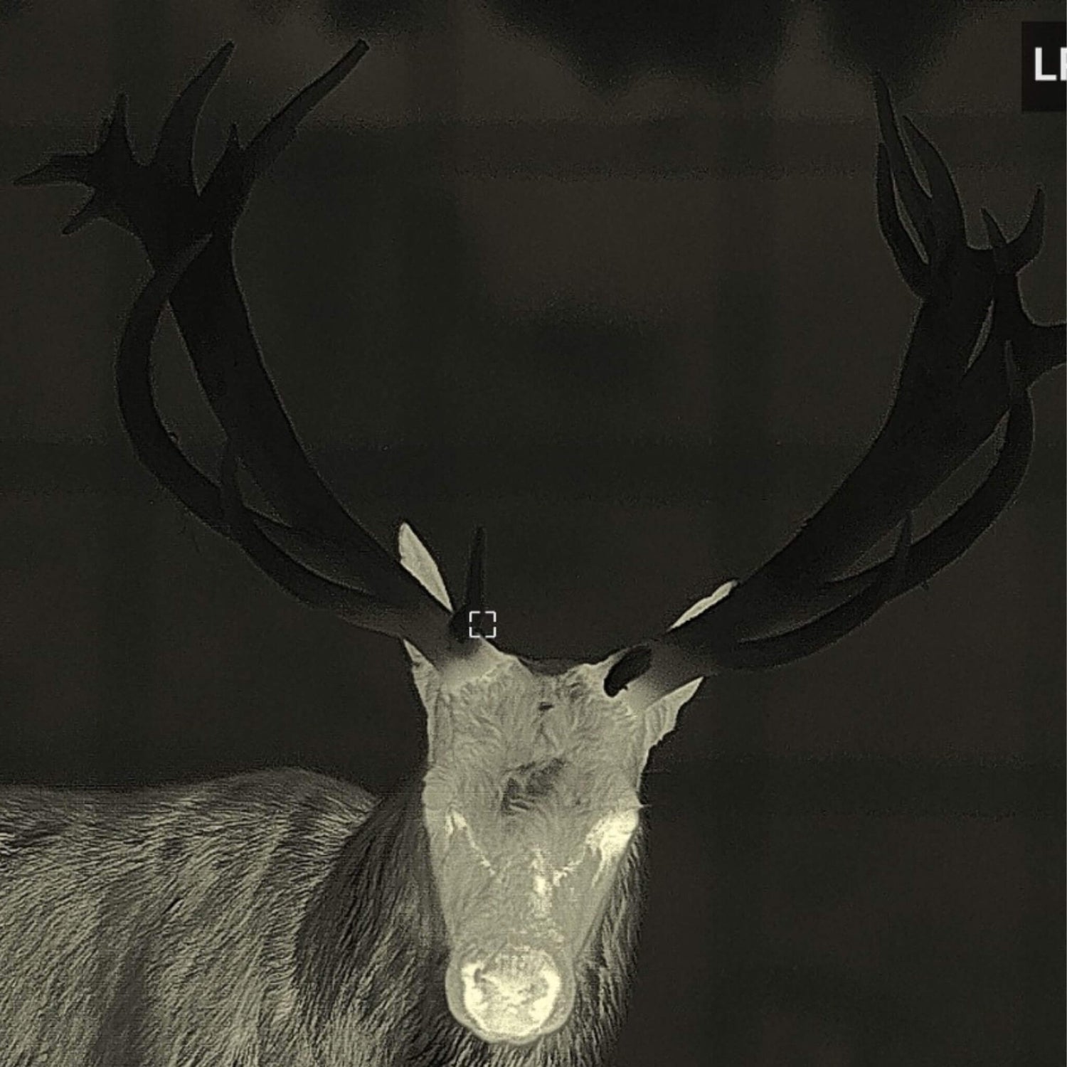 Thermal HD Devices: High Definition Thermal Optics