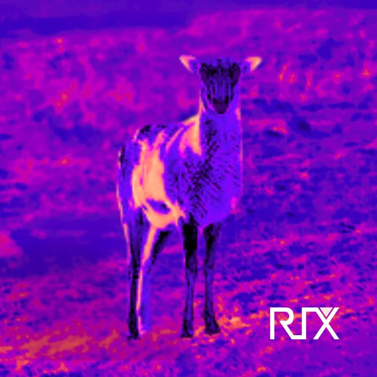 Rix outdoor thermal imaging cameras for sale from Cape thermal